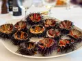Plato con varios tipos de erizos de mar abiertos, mostrando su interior anaranjado y morado, listos para degustar.