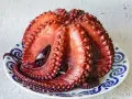 Pulpo cocido en plato, listo para calcular el tiempo de cocción del pulpo por kilo.