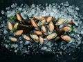 Mejillones frescos listos para congelar, sobre una cama de hielo picado. Su carne naranja y cremosa contrasta con sus conchas oscuras.