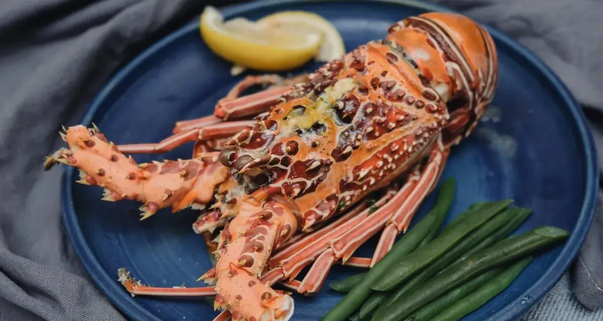 Langosta preparada con judías verdes y limón. El tiempo de cocción de la langosta es clave para un plato perfecto.