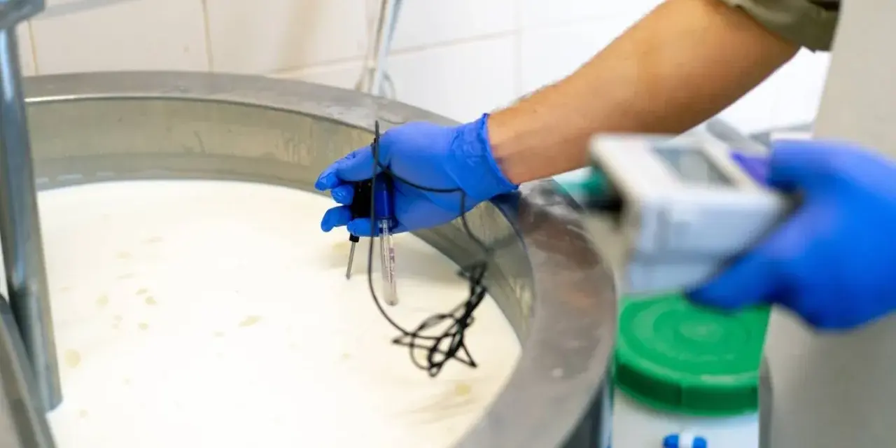 Persona con guantes azules mide la temperatura de la leche en un tanque, un paso clave para entender qué significa pasteurizado y garantizar la seguridad alimentaria.
