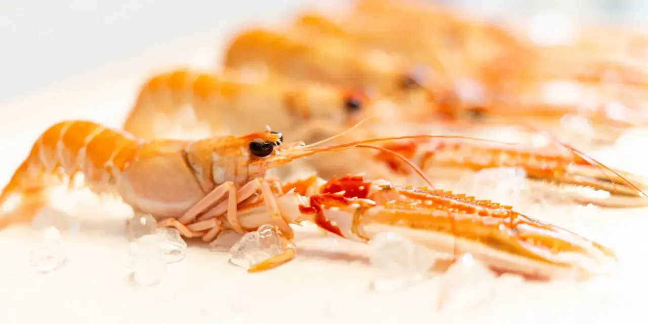 Cigalas al horno, listas para cocinar. Descubre el tiempo y temperatura perfectos para un plato exquisito.