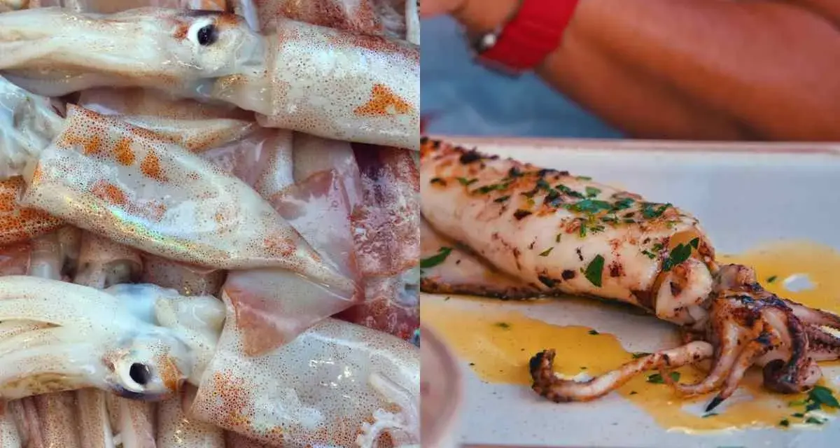 Calamar fresco y un calamar a la parrilla con hierbas. El calamar es pescado blanco, ideal para preparar.