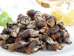 Montón de percebes frescos en un plato blanco, listos para cocinar. Se pueden congelar los percebes para disfrutarlos más tarde.