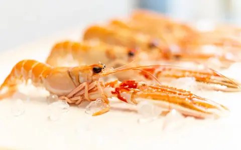 Cigalas al horno, listas para cocinar. Descubre el tiempo y temperatura perfectos para un plato exquisito.