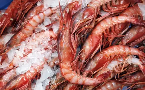 Un montón de gambas rojas frescas sobre hielo. Varias clases de gambas listas para cocinar.