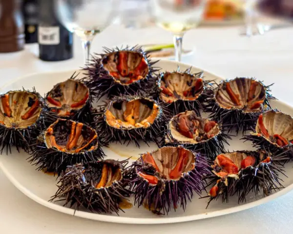Plato con varios tipos de erizos de mar abiertos, mostrando su interior anaranjado y morado, listos para degustar.