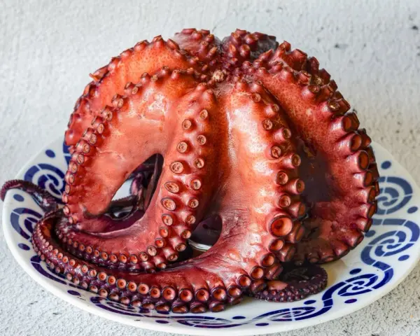 Pulpo cocido en plato, listo para calcular el tiempo de cocción del pulpo por kilo.