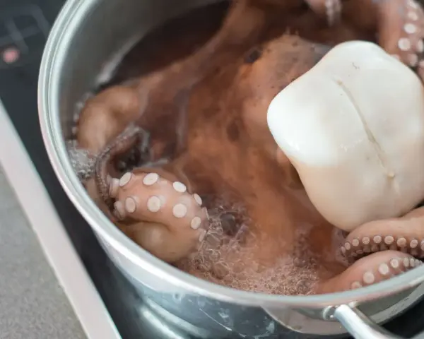 Un pulpo entero se cocina en una olla con agua hirviendo. Descubre cómo calentar el pulpo cocido para disfrutarlo.