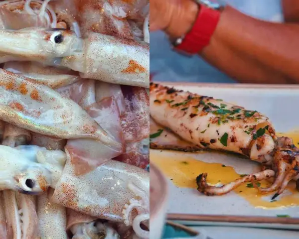 Calamar fresco y un calamar a la parrilla con hierbas. El calamar es pescado blanco, ideal para preparar.