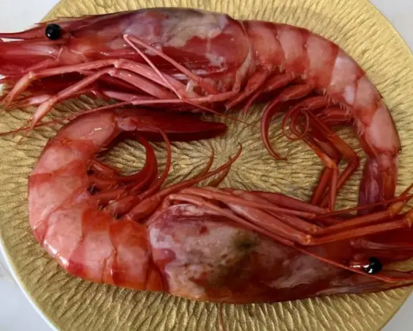 Dos gambas rojas, de distintos tipos, descansan sobre un plato dorado.