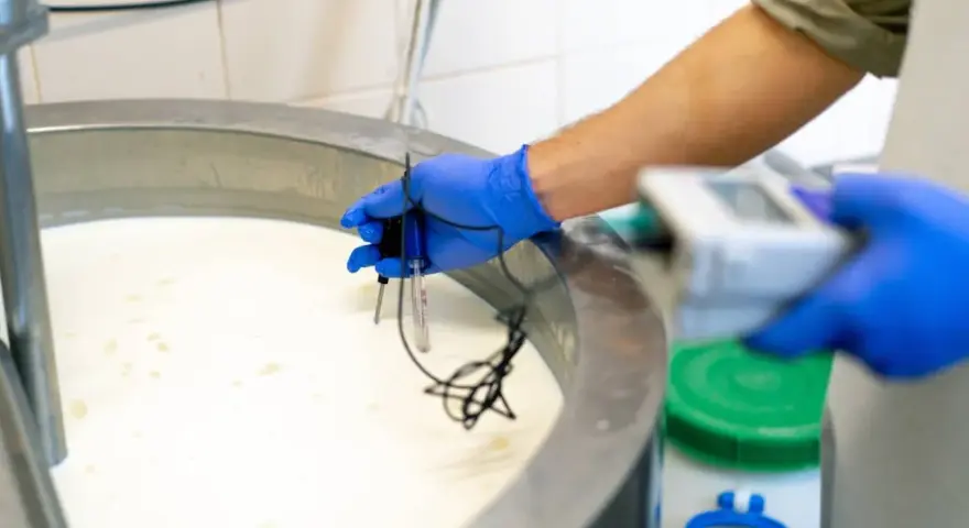 Persona con guantes azules mide la temperatura de la leche en un tanque, un paso clave para entender qué significa pasteurizado y garantizar la seguridad alimentaria.