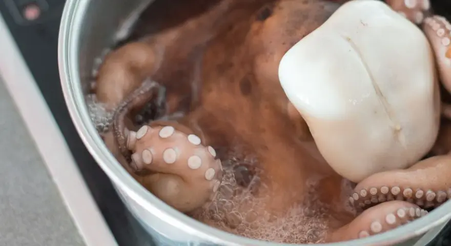 Un pulpo entero se cocina en una olla con agua hirviendo. Descubre cómo calentar el pulpo cocido para disfrutarlo.
