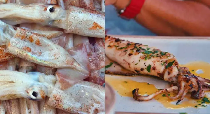 Calamar fresco y un calamar a la parrilla con hierbas. El calamar es pescado blanco, ideal para preparar.