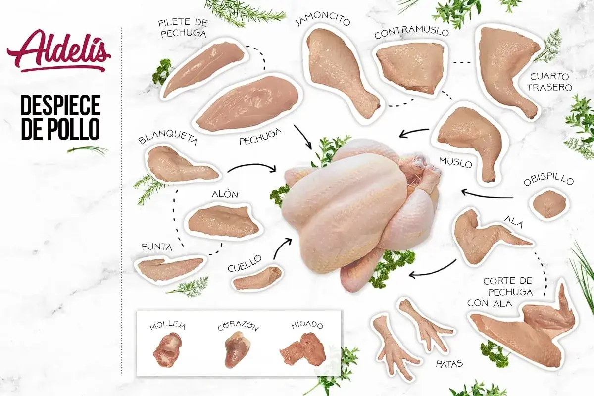 Diagrama de despiece de pollo con cortes etiquetados, ideal para inspirar recetas con pollo. Muestra pechuga, muslo, al&oacute;n, alas y m&aacute;s.